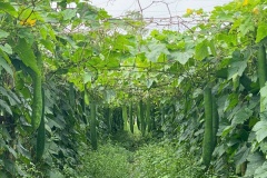 7e8921d7d823547d0d32