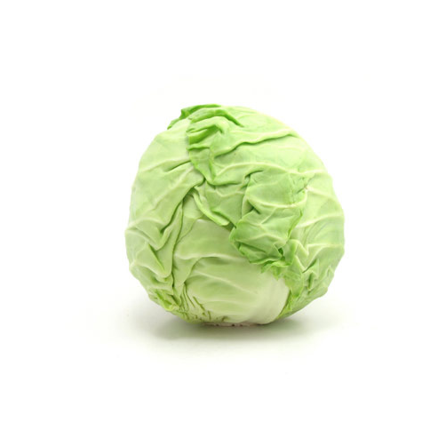 Bắp cải hữu cơ