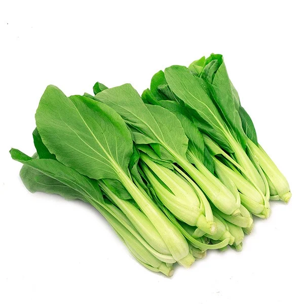 Cải thìa hữu cơ - Ảnh 2