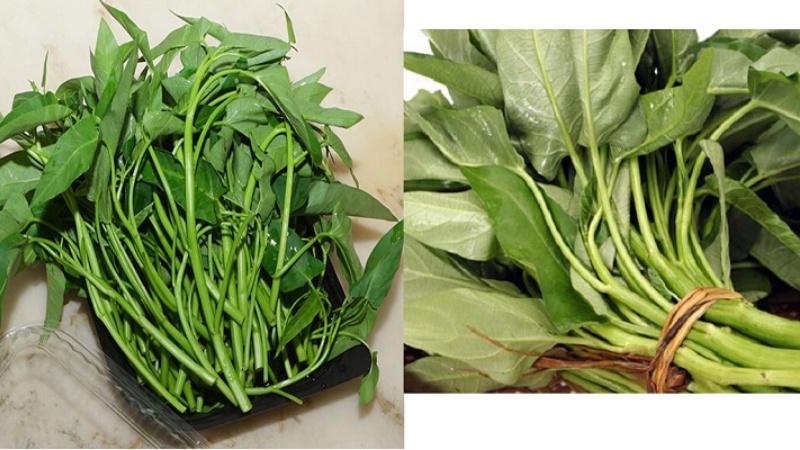 Rau organic là gì? Vì sao rau hữu cơ đắt hơn rau thường?