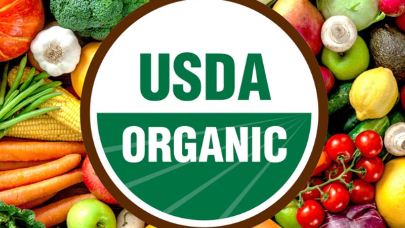 Rau organic là gì? Vì sao rau hữu cơ đắt hơn rau thường? Rau organic là gì? Vì sao rau hữu cơ đắt hơn rau thường?