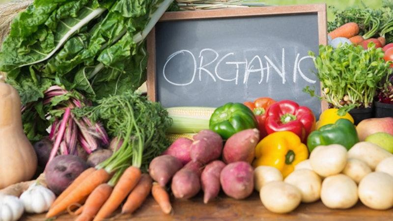 Rau organic là gì? Vì sao rau hữu cơ đắt hơn rau thường?